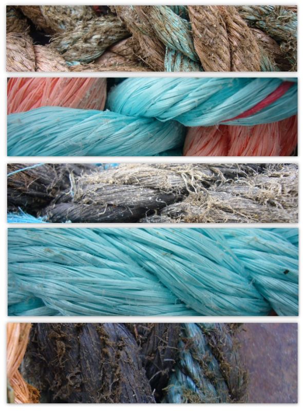 cordage