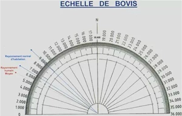 echelle-bovis