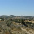 Dans la vallée d'Elah