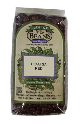 0004599_elegant-beans-hidatsa-red_425