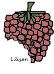 framboise