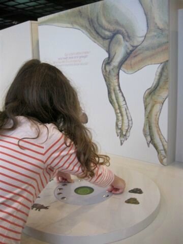 Muséum des Sciences naturelles ©Kid Friendly