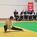 LISE Tai Chi style Yang - Médaille d'Argent