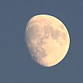 IMG_5194