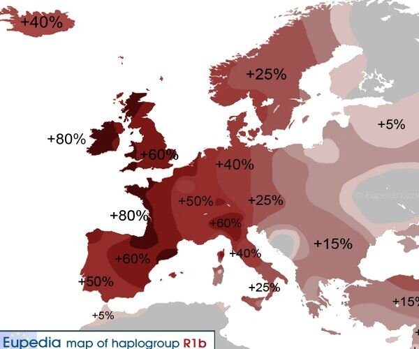 haplogroup type Europe de l'ouest
