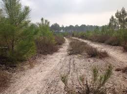 images (17)