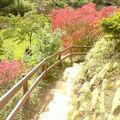 On the way to the Japanese Garden