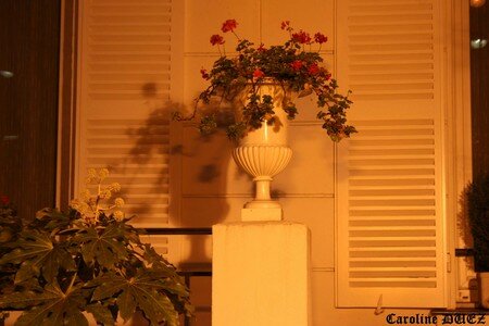 9_novembre_2007_1093_copie