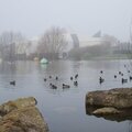 IMGP1243