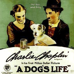 affiche-Une-Vie-de-chien-A-Dog-s-Life-1918-2
