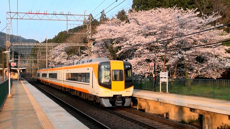 2021-JP-Kintetsu-Sakura(1) (1)