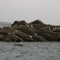 Trégor-2 2006 096