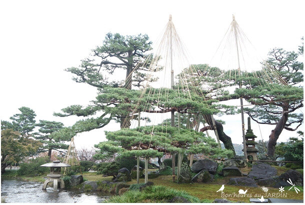 Comparatif des Jardins Zens Japonais en 2023🍂