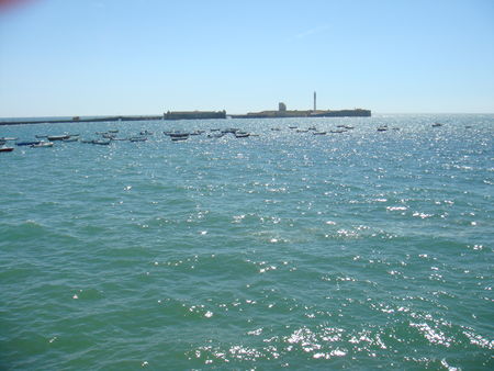 DSC00868