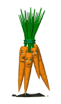 unhappy_carrot_bunch_md_wht