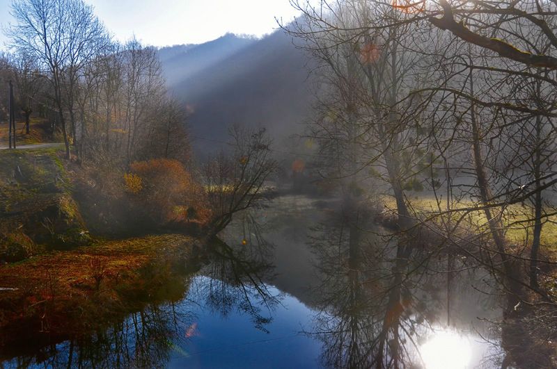 au petit matin