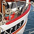 DSC02544