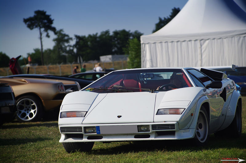 LMCa_517e
