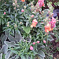 20190713_101529