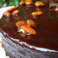 Gâteau de pessah #6 : tarte au chocolat et aux pralines sans farine, sans gluten
