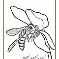 Coloriage abeille dessin Ghislaine Letourneur - Colouring bee - Kolorierung Biene - Coloritura ape - Coloritul albina - Iluminación abeja 
