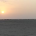 P1050175