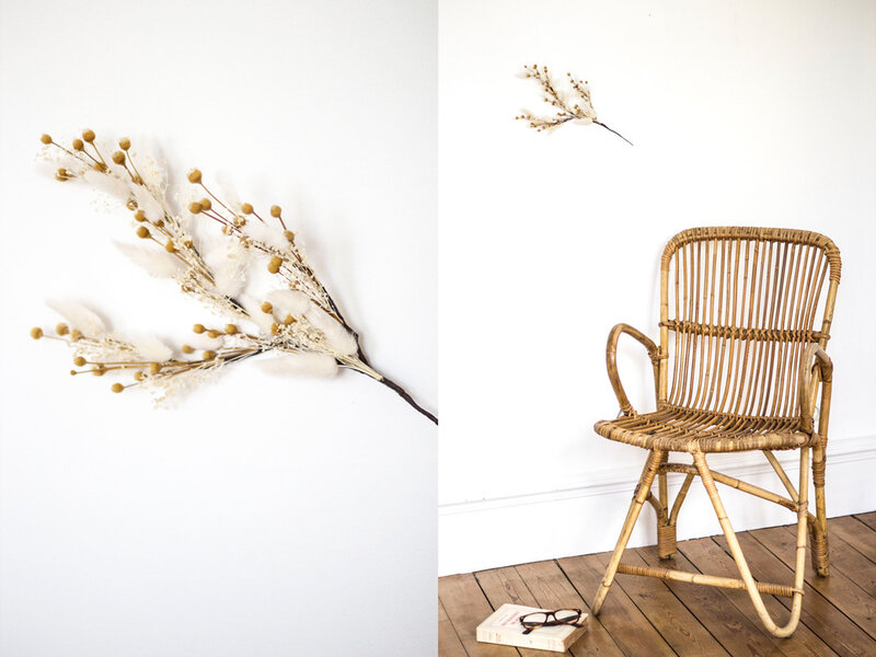 fleurs-sechees-branche-trendy-little