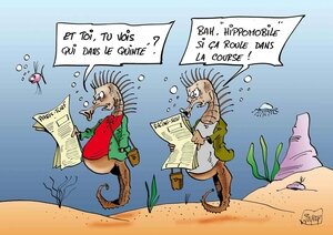 HIPPOJOURNAUX-COUL