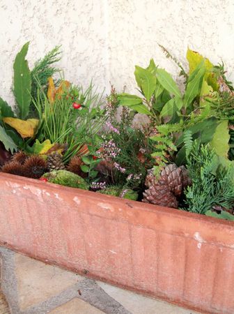 automne