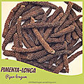 Pimenta-longa (piper longum)
