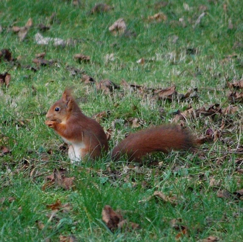 DSC_0465