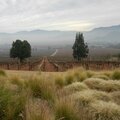 Vins chiliens (1) : chili con vallées 