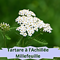 37 ACHILLEE MILLEFEUILLE(3) Tartare à l’achillée millefeuille