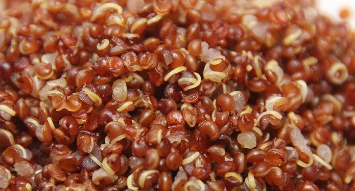 quinoa