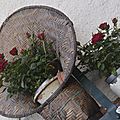 _DSC0031