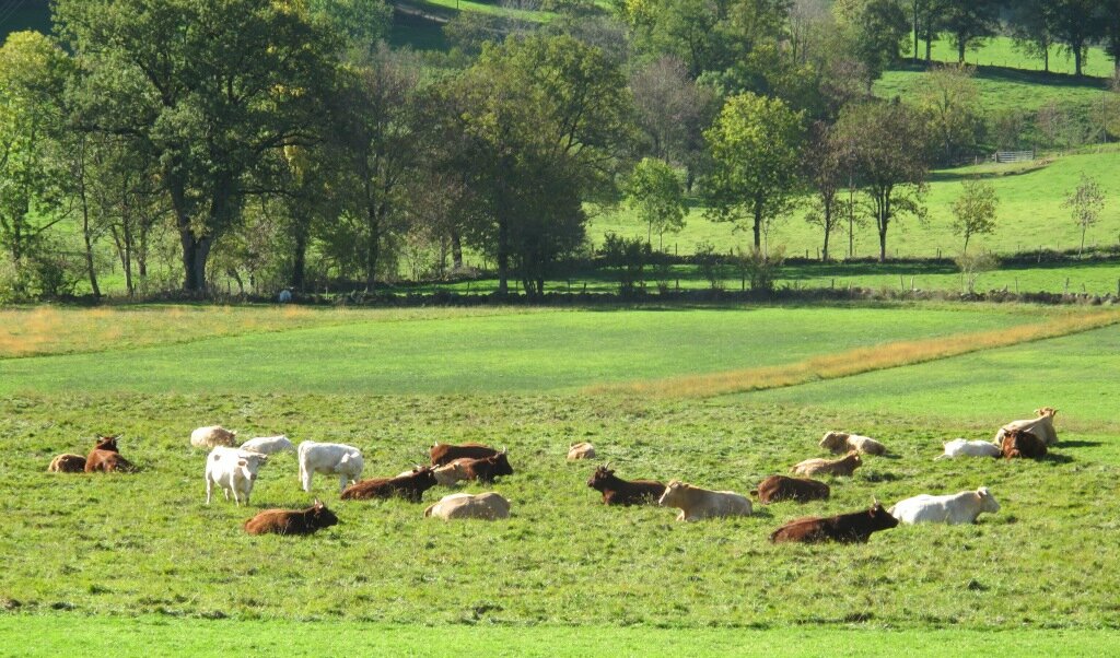 Sur la route de Dijon (27/02/2012) En balade, né au vent