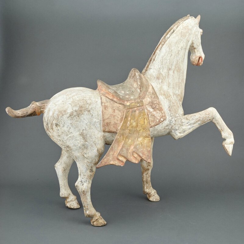 Chinese Painted Pottery Figure of a Prancing Horse, Tang Dynasty3