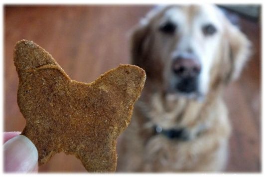 biscuit2 (3)