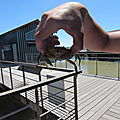IMG_3978