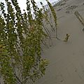 _DSC0148