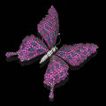 A ruby, sapphire and diamond butterfly brooch