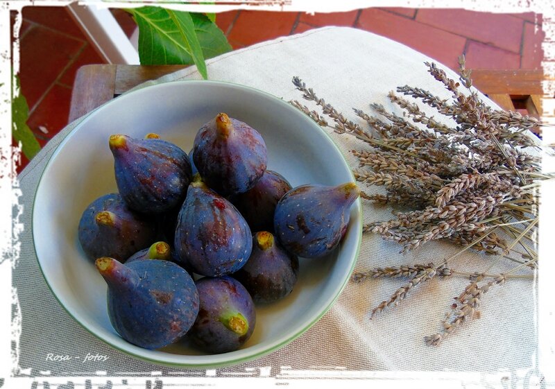 figues 6
