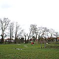 IMGP9753