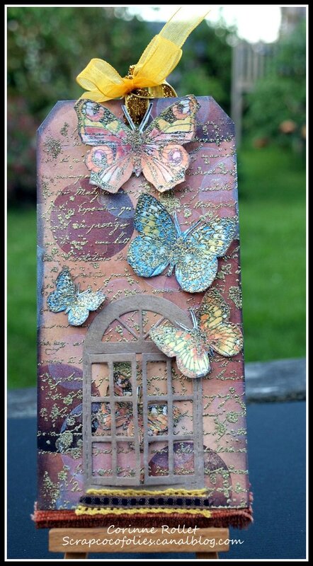 Coco_TagButterflies_photo1