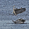 IMG_8159