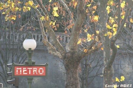 9_novembre_2007_503_copie