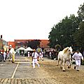 IMGP9556