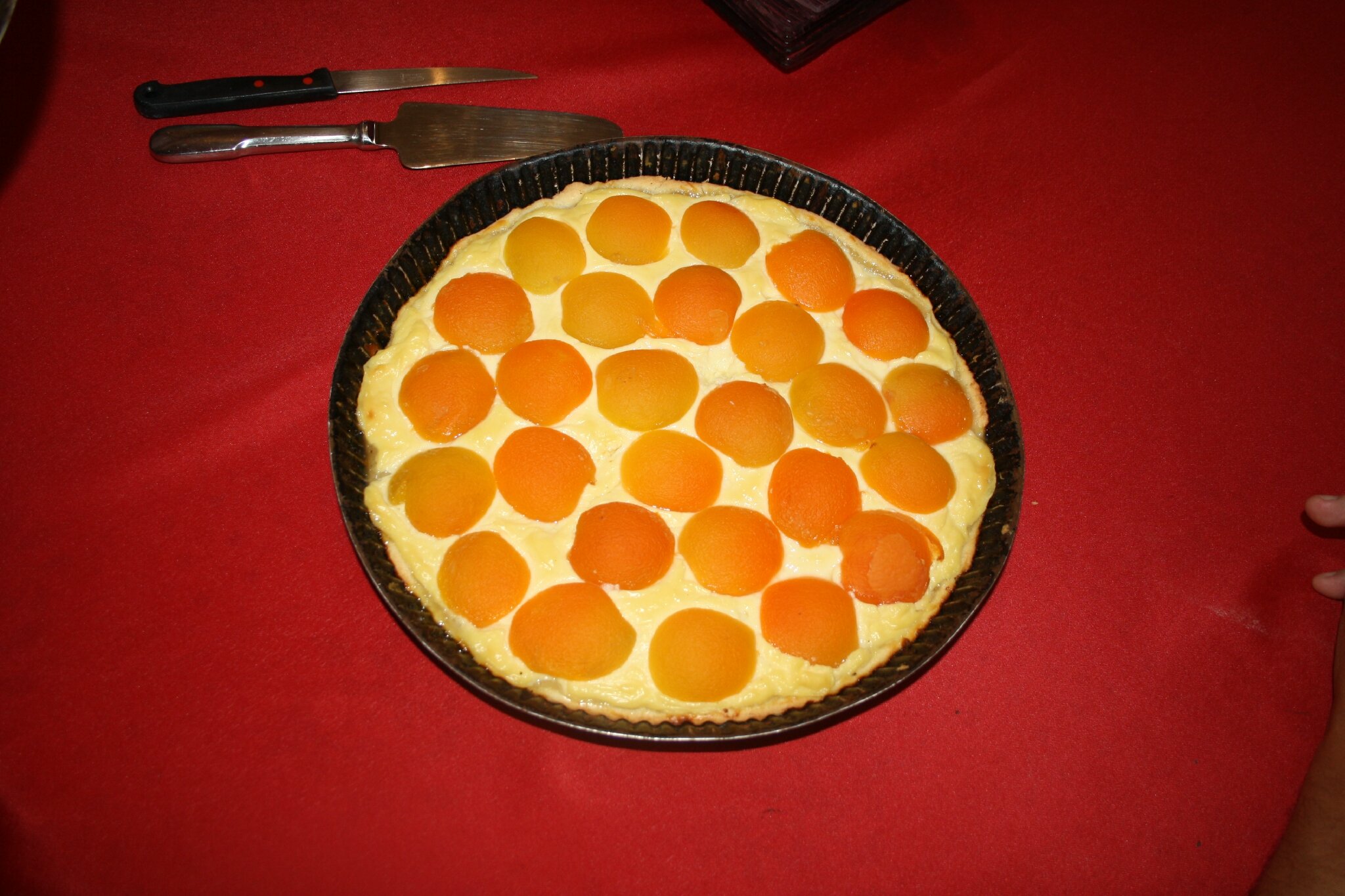 Tarte A L Abricot Thermomix Dans Ma Cuisine Avec Mon Thermomix Tarte A L Abricot Thermomix Dans Ma Cuisine Avec Mon Thermomix