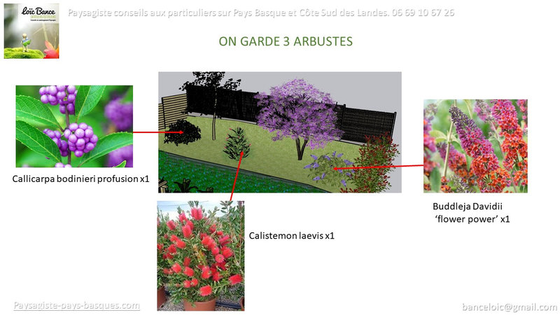 Paysagiste-Bidart-Aménagement-de-jardins