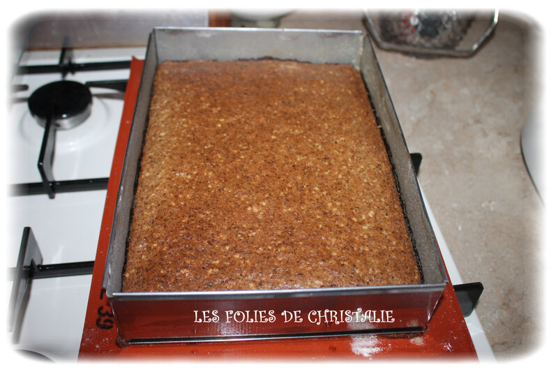 Gâteau choco-noix 17